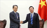 Vietnam, Japan step up cooperation in energy transition