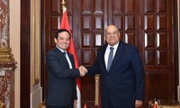 Vietnam wants to strengthen multifaceted cooperation with Egypt, says Deputy PM