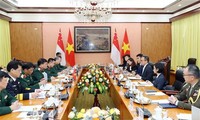 Vietnam, Singapore hold 14th defence policy dialogue