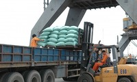 Vietnamese 5% broken rice export price hits new high globally again