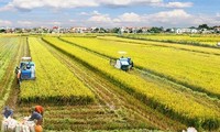 Vietnam aims to develop sustainable agriculture