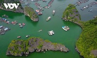 Drone light show to thrill visitors at Ha Long Carnival 2024