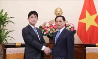 Foreign Minister lauds progress of Vietnam - Japan cooperation