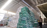 Vietnam becomes largest rice exporter to Singapore