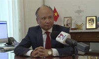 FM's trip to promote Vietnam's relations with OECD, France: Diplomat