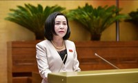 Nguyen Thi Thanh elected NA Vice Chairwoman