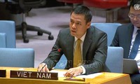 Vietnam treasures cooperation in conflict prevention, sustainable peace building