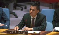 Vietnam backs efforts to improve peacekeeping operations’ effectiveness, adaptability