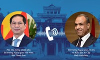 Vietnam, Egypt strengthen traditional ties, multifaceted cooperation