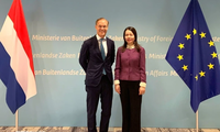 Vietnam bolsters climate cooperation with Netherlands  