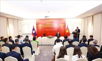 PM works with Vietnamese representative agencies in Laos