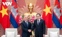 Vietnamese PM, NA Chairman meet with Cambodian King