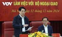 President asks for remaining steadfast with Vietnam’s foreign policy of independence, self-reliance