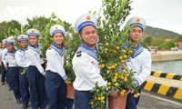 Spring comes early to Vietnam's seas and islands