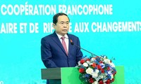 Vietnam desires to boost cooperation with Francophone community: top legislator 