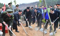 State President joins tree planting festival in Lang Son province