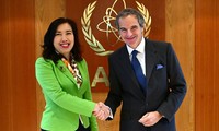 Vietnam strengthens legal framework for crime prevention and criminal justice, says Deputy FM