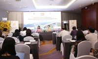 Over 100 films to be featured at the 3rd Da Nang Asian Film Festival