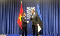 Vietnam, Estonia further promote cooperation in multiple fields