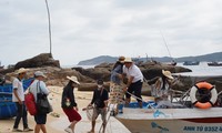 Phu Yen launches summer tourism promotion campaign