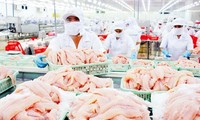 Vietnamese pangasius penetrates US market