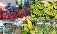 US is largest importer of Vietnam’s agro-forestry-fishery products in H1