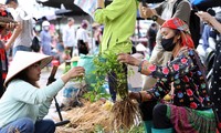 Digital tech sends Lai Chau’s mountain goods viral