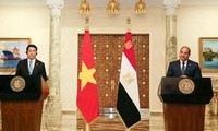 Vietnam, Egypt aim to raise bilateral trade to 1 billion USD