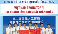 Vietnam among top four nations at the 2025 International Artificial Intelligence Olympiad