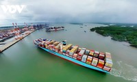 Ho Chi Minh City consolidates its position as an export hub