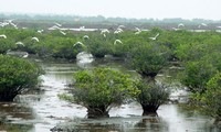 Xuan Thuy National Park recognized as ASEAN Heritage Park