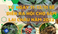 Lần đầu tiên tỉnh Lai Châu tổ chức hội chợ Sâm 