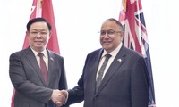 Tăng cường hợp tác Việt Nam - New Zealand