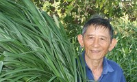 Cow-herd Ho Giao - Vietnam’s farming hero