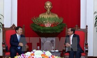 Chinese province seeks closer ties with Vietnamese localities