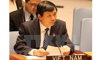 Vietnam insists on solving disputes through peaceful means