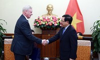 Deputy PM, FM Pham Binh Minh receives Russian diplomat