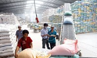 Vietnam ensures adequate rice supplies