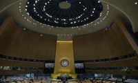 Iran, Central African Republic lose voting rights in UN General Assembly