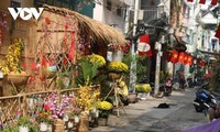 Tet decorations spring up every HCM City corner