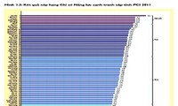 Divulgan nivel de competitividad de provincias vietnamitas en 2011