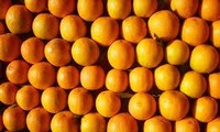 Aldea Cao Phong construye la marca de su naranja  