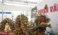 Se exhiben productos de coco en Feria comercial de Ben Tre