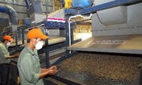 Empresas mexicanas desean fomentar relaciones comerciales con Vietnam