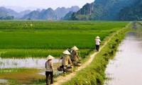 Propaganda sobre construcción de nuevo campo en Ninh Binh