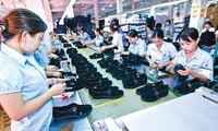 Vietnam:más producción nacional de calzado y menos dependencia