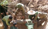 Vietnam y EEUU impulsan cooperación para superar secuelas de la guerra