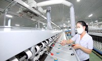 Se incrementan exportaciones de Vietnam en los primeros 7 meses del año 