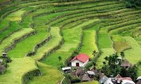  Yen Bai organiza Semana cultural y turística sobre campos en terrazas