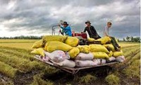 Inaugurada II Conferencia mundial sobre seguridad alimentaria y cambio climático